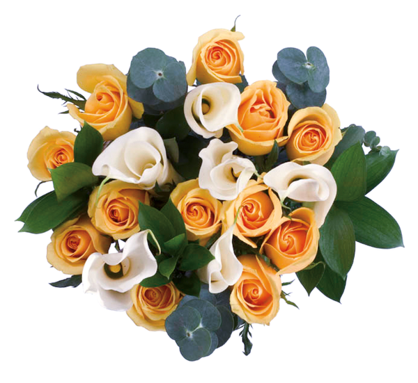 Roses and callas bouquets